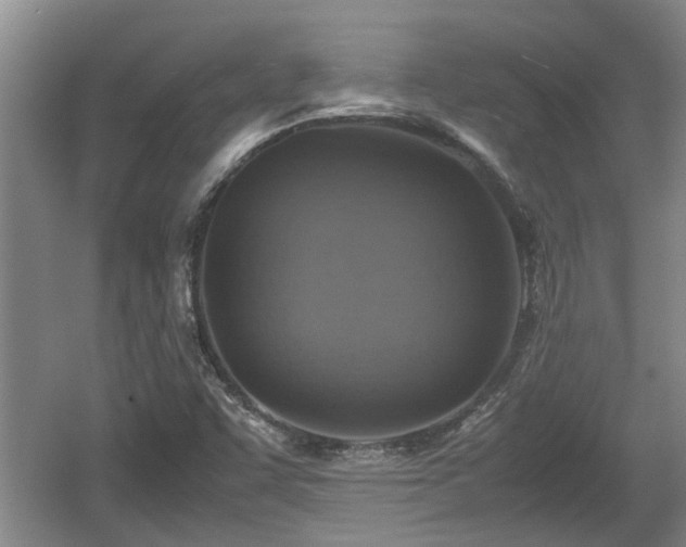 X0000060781455200511141404