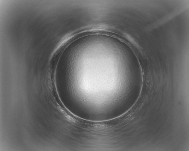 X0000060781456200511141404