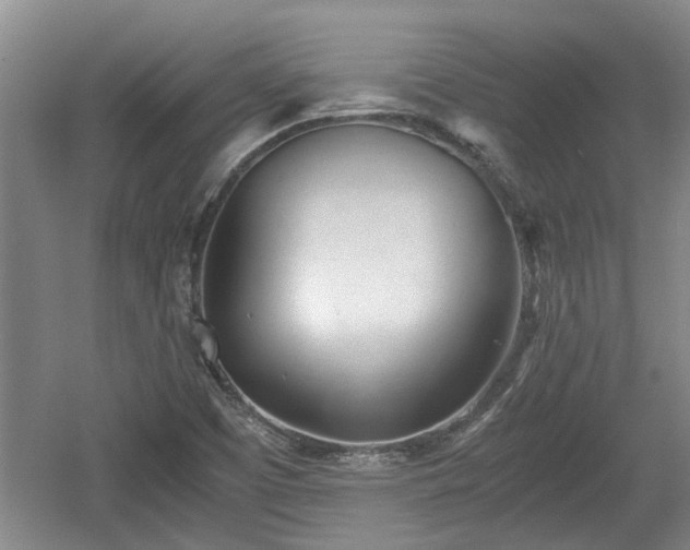 X0000060781457200511141404