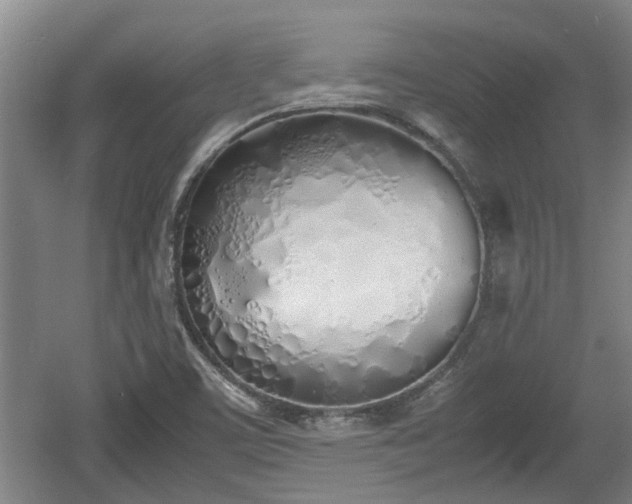 X0000060781459200511141404