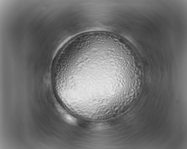 X0000060781460200511141404