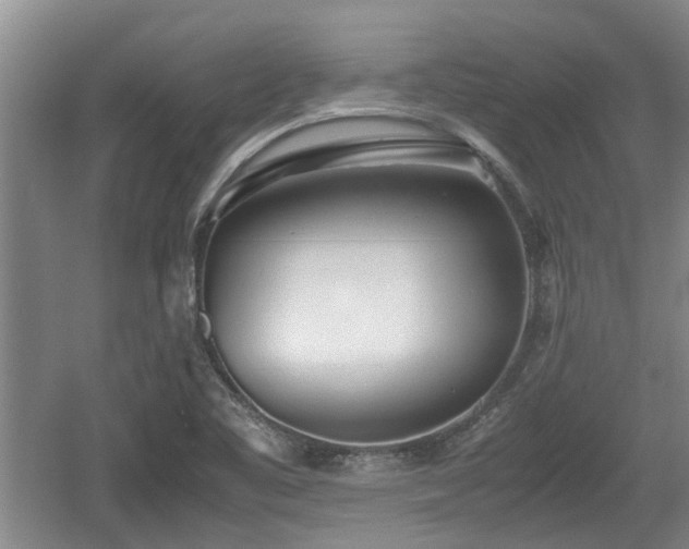 X0000060781461200511141404