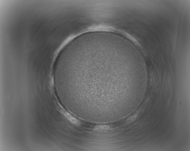 X0000060781462200511141404