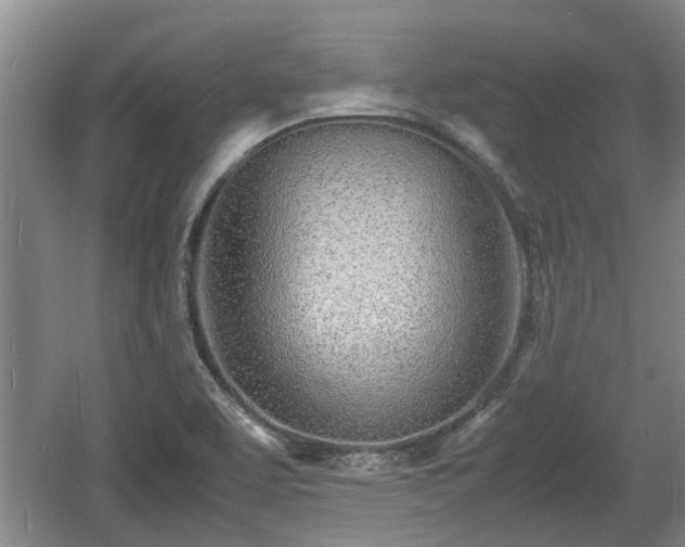 X0000060781463200511141404