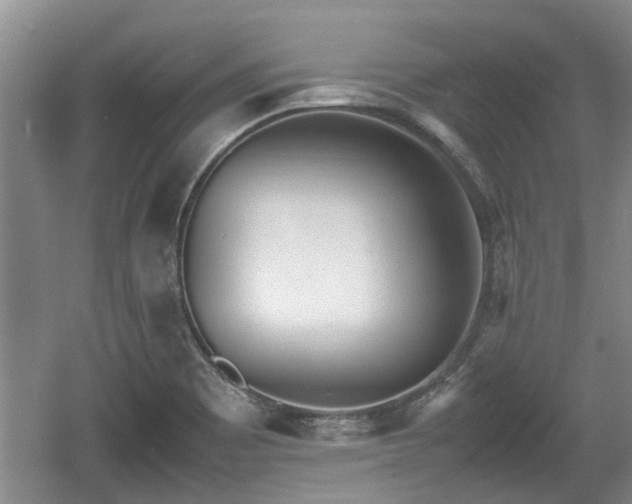 X0000060781465200511141404