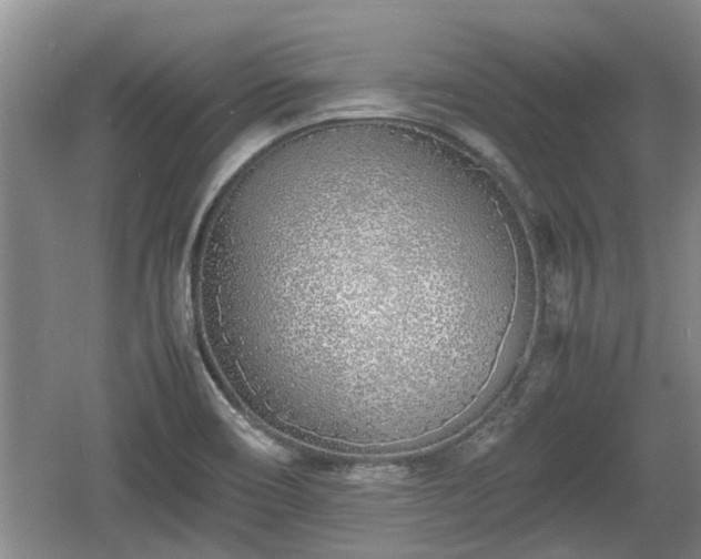 X0000060781466200511141404