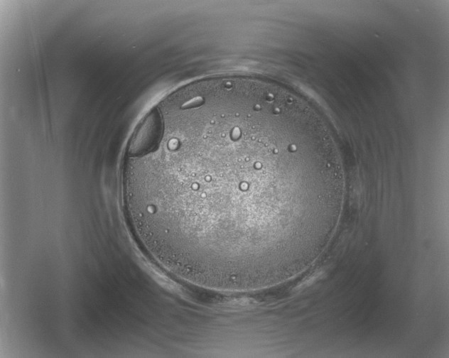 X0000060781467200511141404