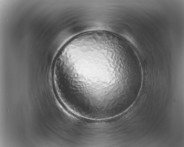 X0000060781468200511141404