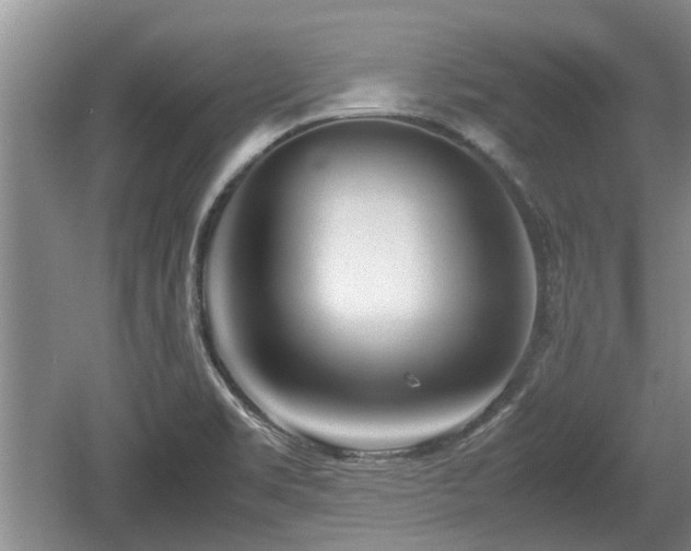 X0000060781469200511141404