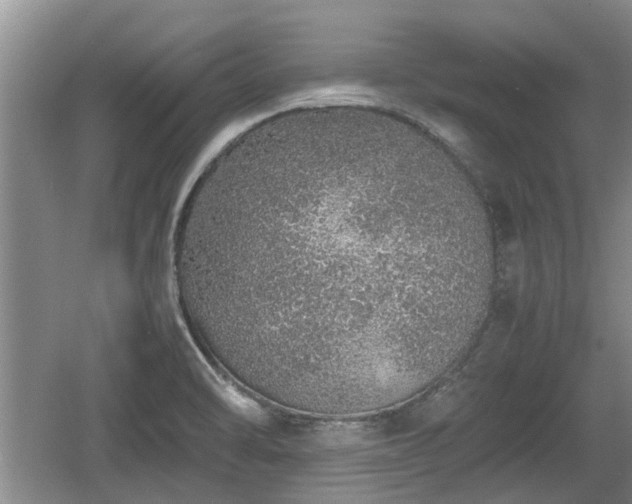 X0000060781470200511141404