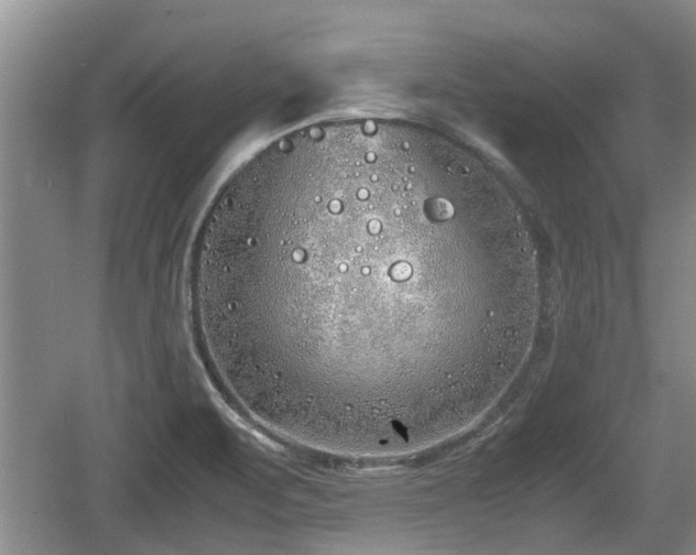 X0000060781471200511141404