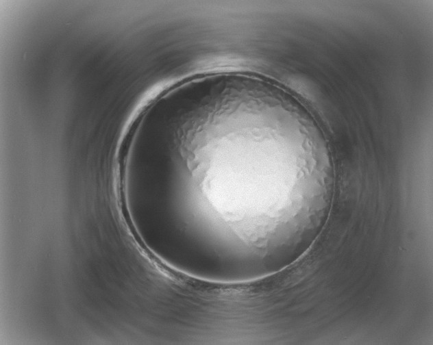 X0000060781472200511141404