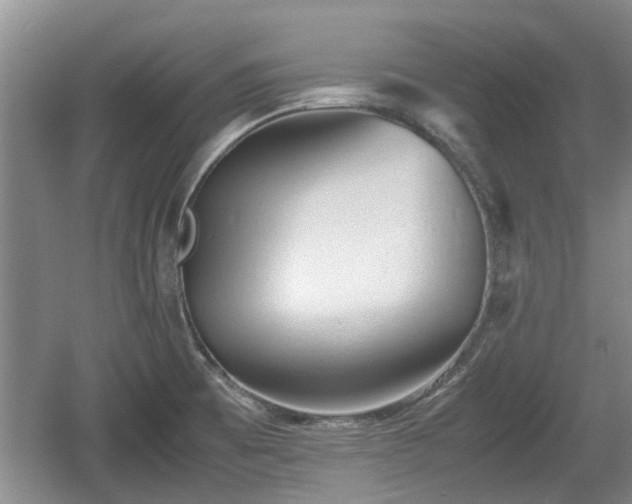 X0000060781473200511141404