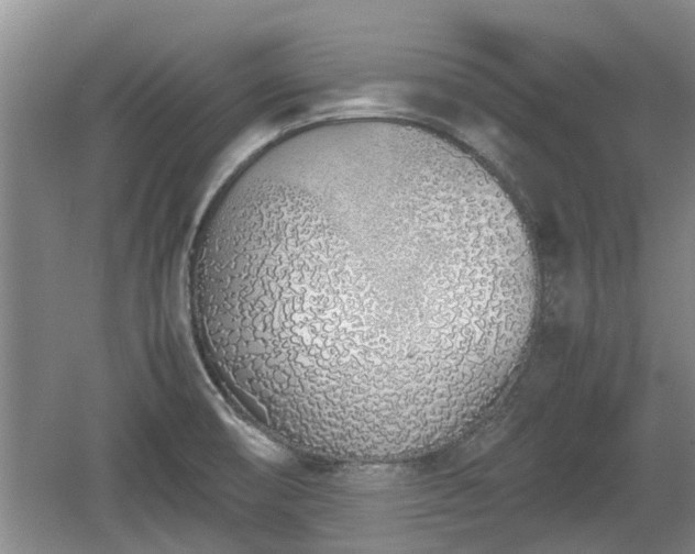 X0000060781474200511141404