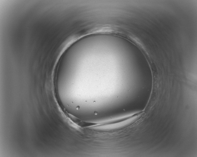 X0000060781475200511141404