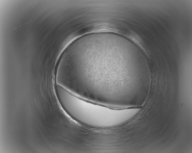 X0000060781476200511141404