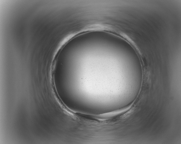 X0000060781477200511141404