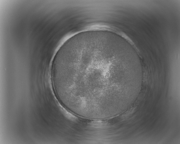 X0000060781478200511141404