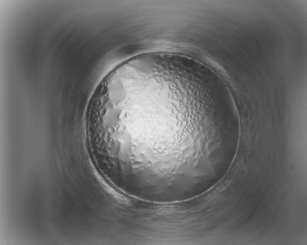 X0000060781479200511141404