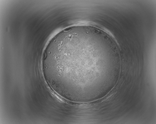 X0000060781480200511141404