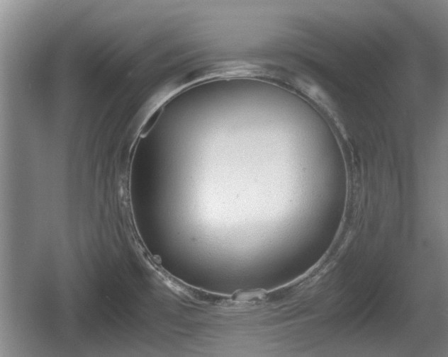 X0000060781481200511141404