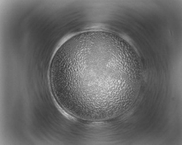 X0000060781482200511141403