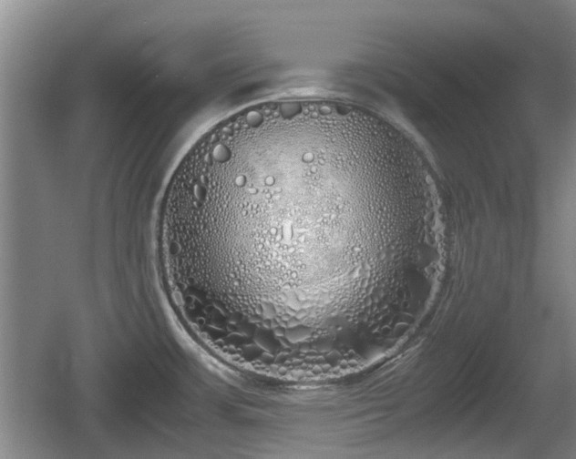 X0000060781483200511141403