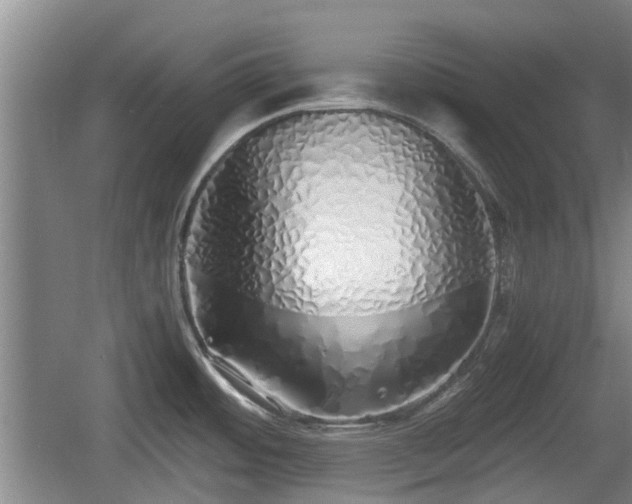 X0000060781484200511141403