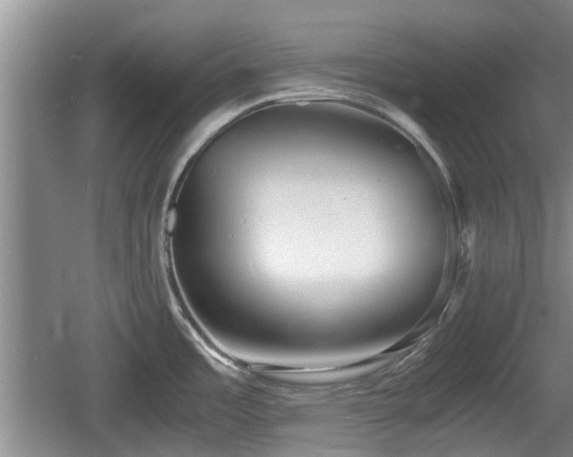 X0000060781485200511141403