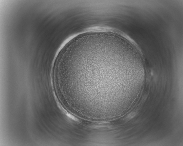 X0000060781486200511141403