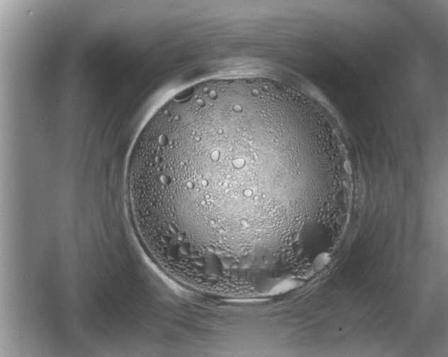 X0000060781487200511141403