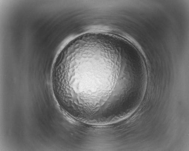 X0000060781488200511141403