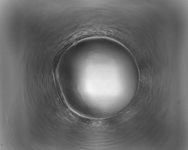 X0000060781490200511141403