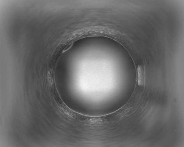 X0000060781491200511141403