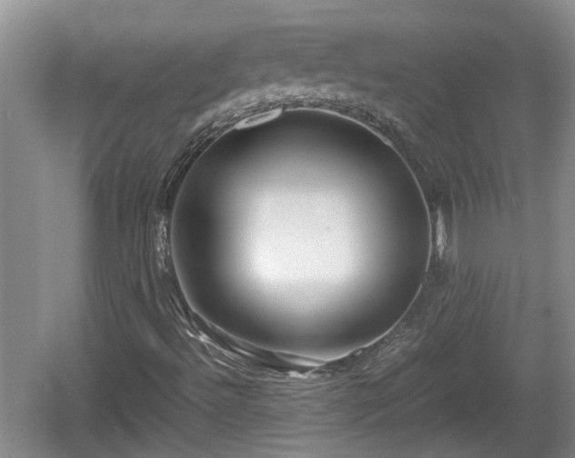 X0000060781492200511141403