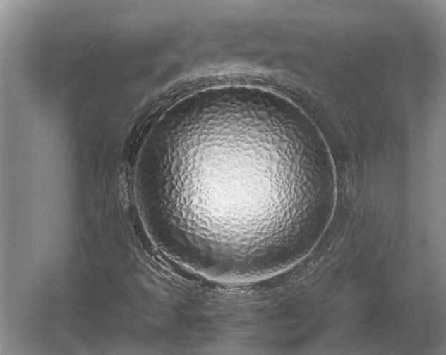 X0000060781493200511141403