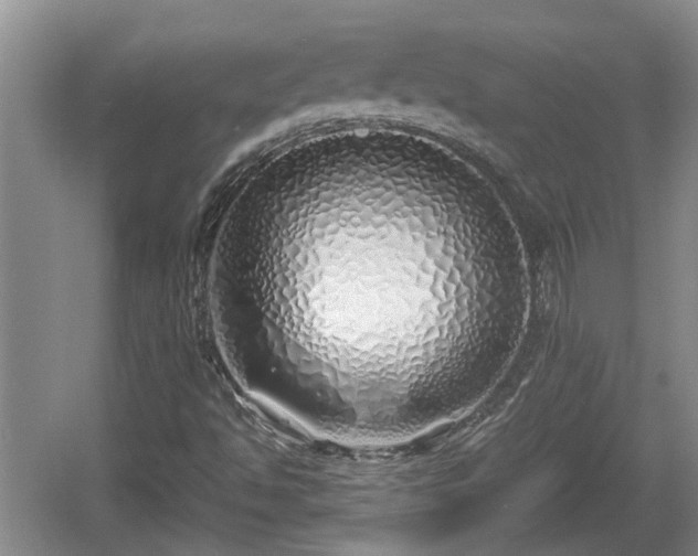 X0000060781494200511141403