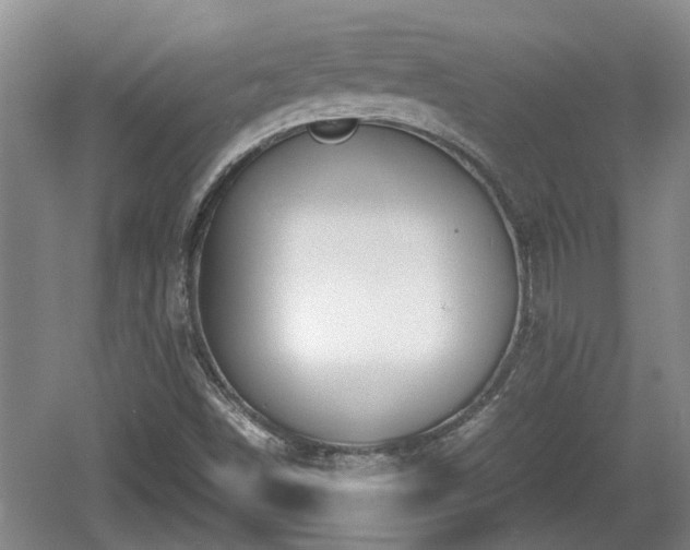 X0000060781498200511141403