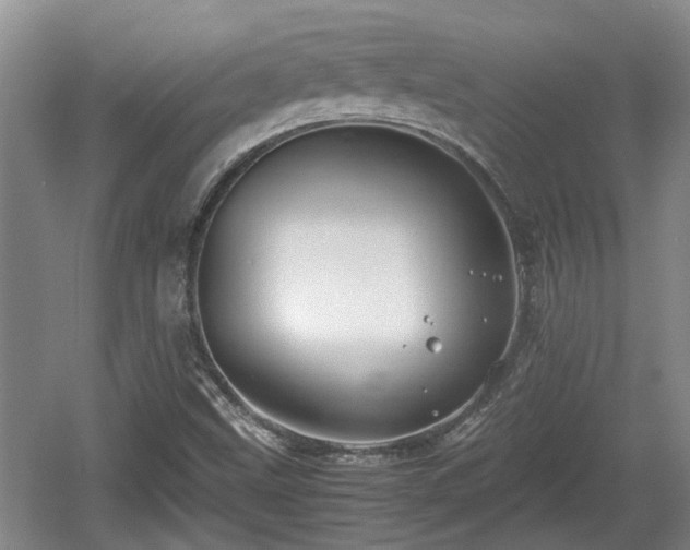 X0000060781499200511141403