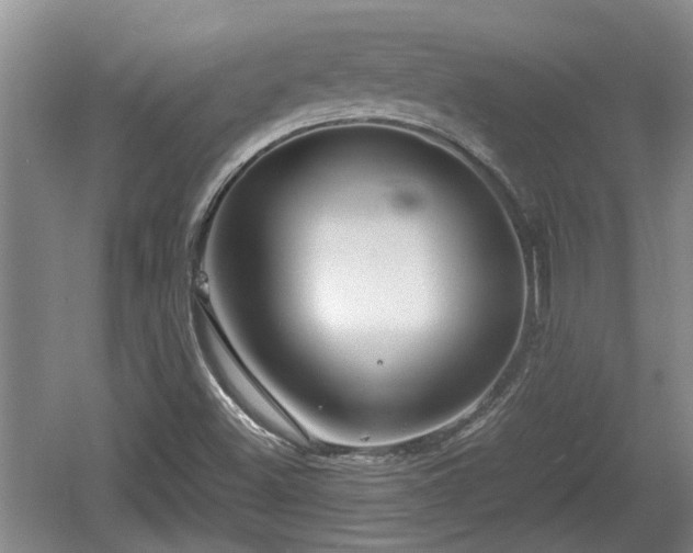 X0000060781500200511141403