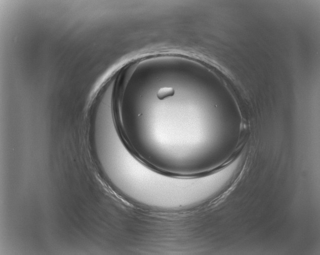 X0000060781502200511141403