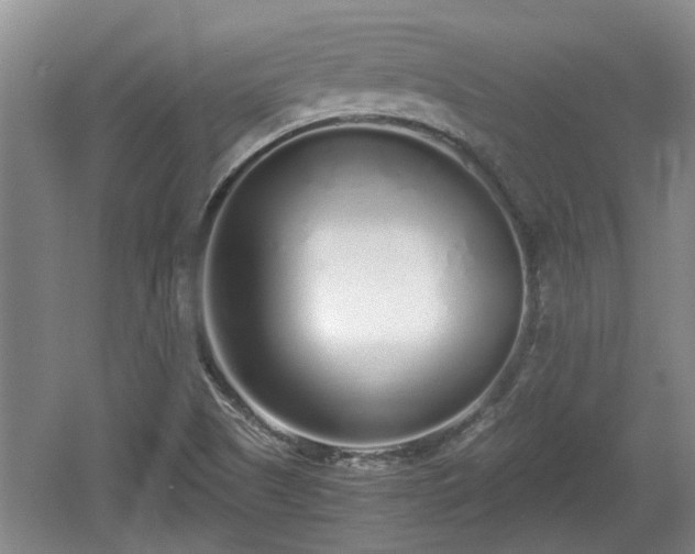 X0000060781505200511141403