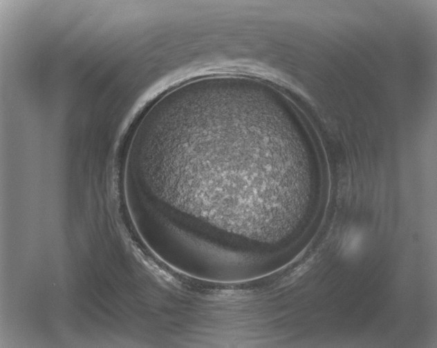 X0000060781506200511141403