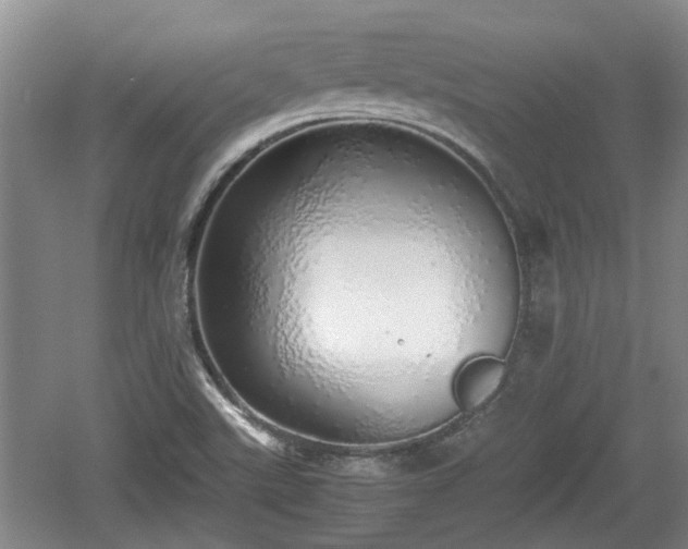 X0000060781507200511141403