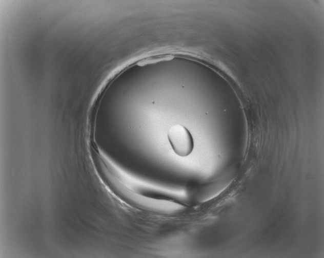 X0000060781508200511141403