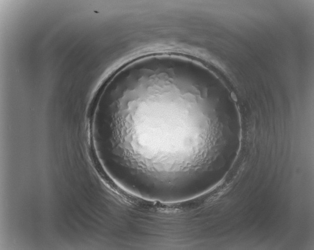 X0000060781509200511141403