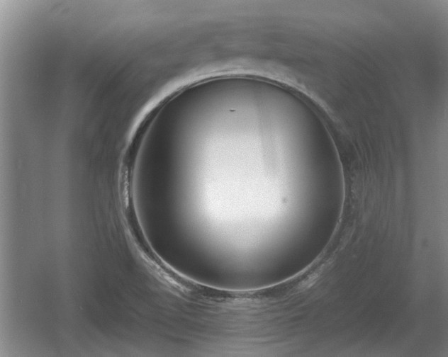 X0000060781510200511141403