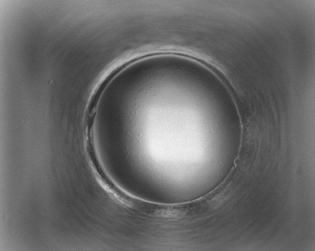 X0000060781511200511141403