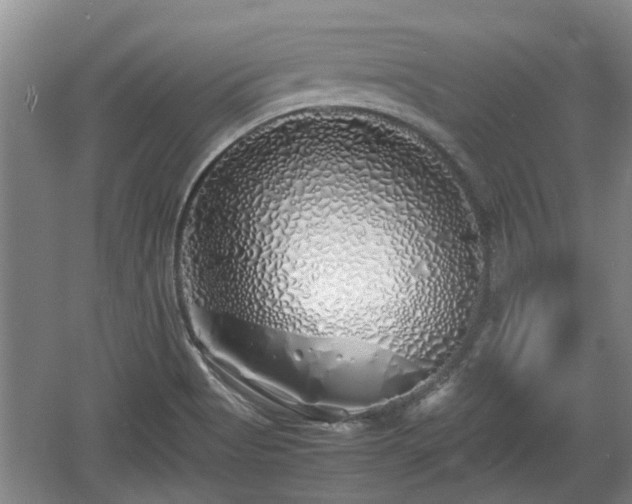 X0000060781513200511141403