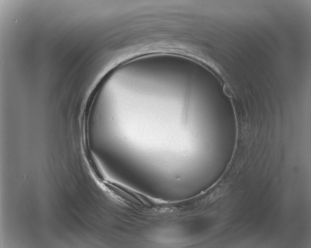 X0000060781515200511141403